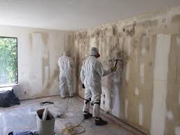 Best Real Estate Mold Inspection  in Forest Glen, MD